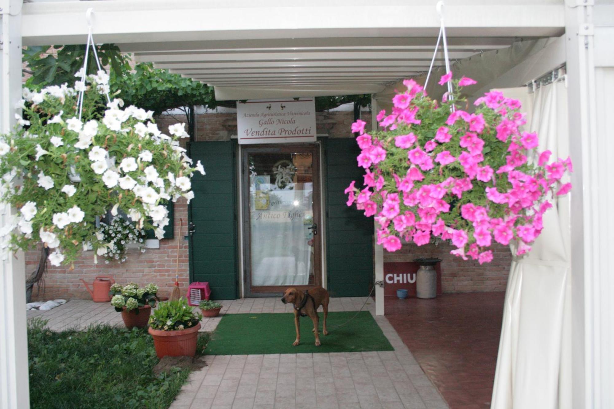 Locanda Antico Figher Villa Musile di Piave Bagian luar foto